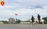 Cận cảnh dàn kỵ binh của lực lượng cảnh sát cơ động